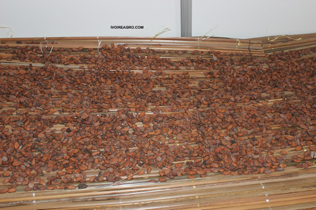 03/10/16 le gouvernement annonce la création d’une université exclusivement dédiée au cacao et au chocolat